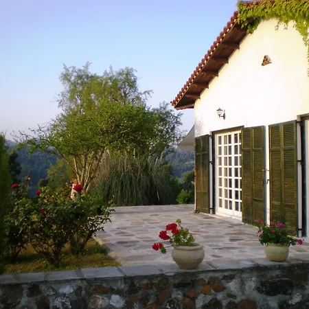 Flores Villa Kriopigi