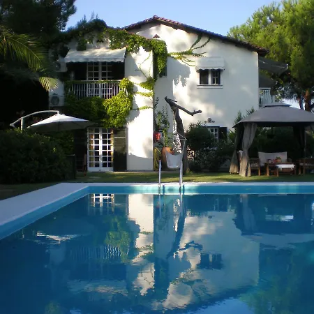Villa Flores Kriopigi