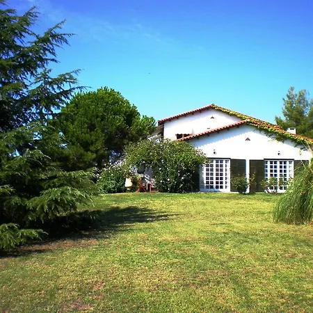 Villa Flores Kriopigi