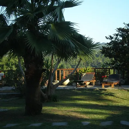 Villa Flores Kriopigi
